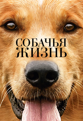 Постер к фильму Собачья жизнь 2017