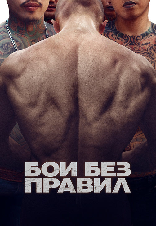 Постер к фильму Бои без правил 2017