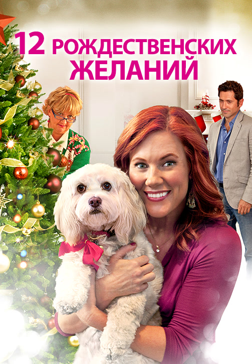 Постер к фильму 12 Рождественских желаний 2011