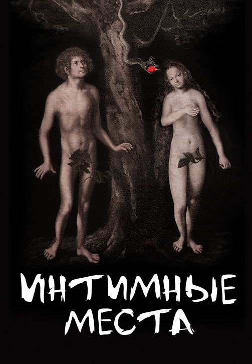 Постер к фильму Интимные места 2013