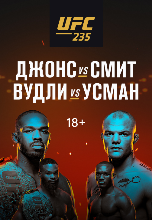 Постер к сериалу UFC 235 2019