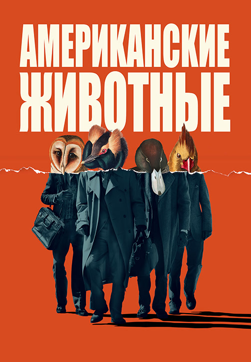 Постер к фильму Американские животные 2018