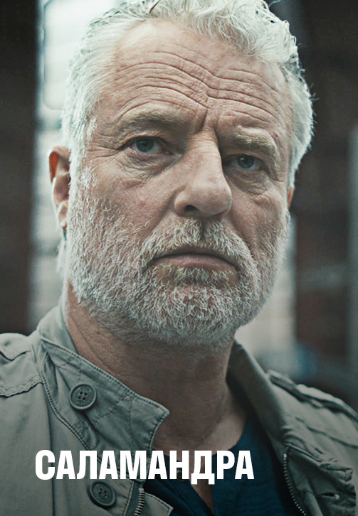 Постер к сериалу Саламандра. Сезон 2. Серия 8 2018