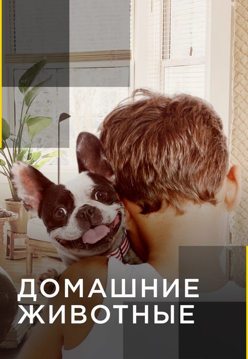 Постер к сериалу Домашние животные. Серия 11 2012