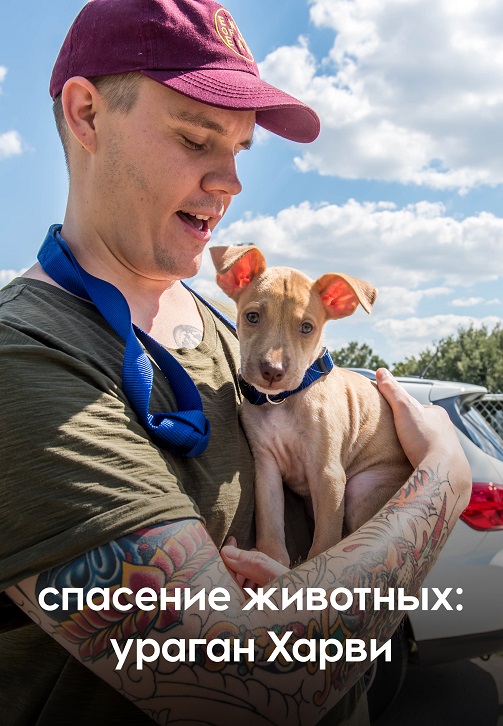 Постер к фильму Спасение животных: ураган Харви 2018
