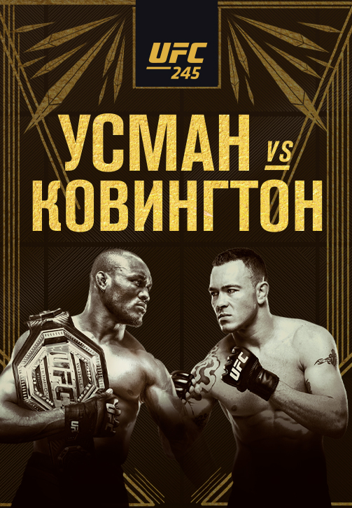 Постер к сериалу UFC 245 2019