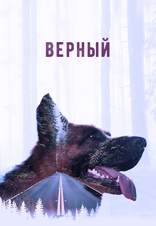 Постер к фильму Верный 2016