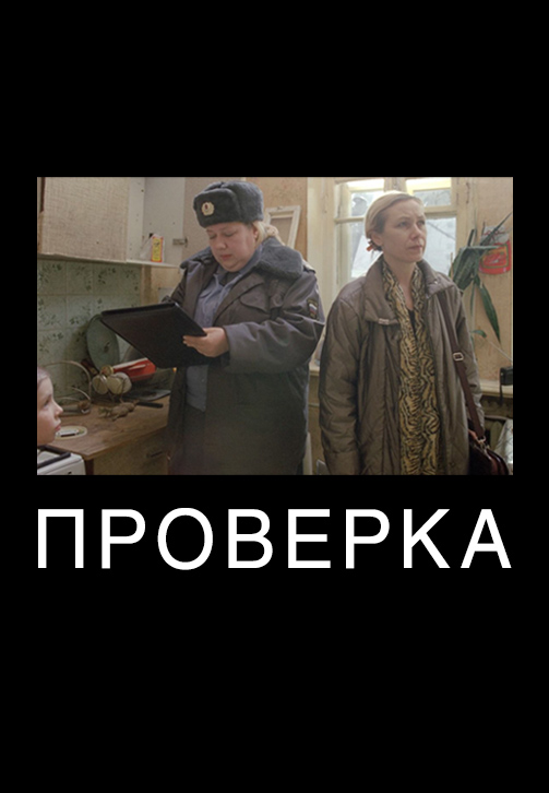 Постер к фильму Проверка 2013