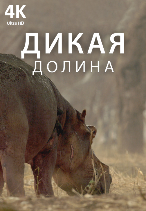 Постер к фильму Дикая долина 4K 2019