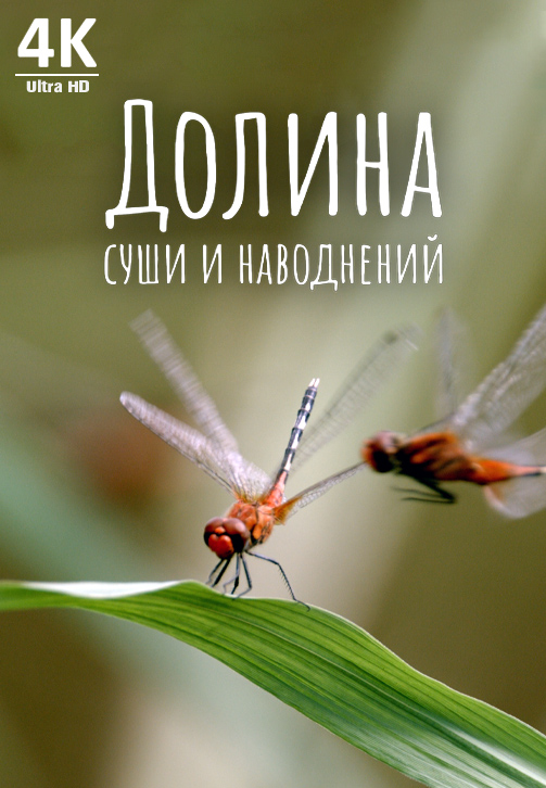 Постер к фильму Долина суши и наводнений 4K 2019
