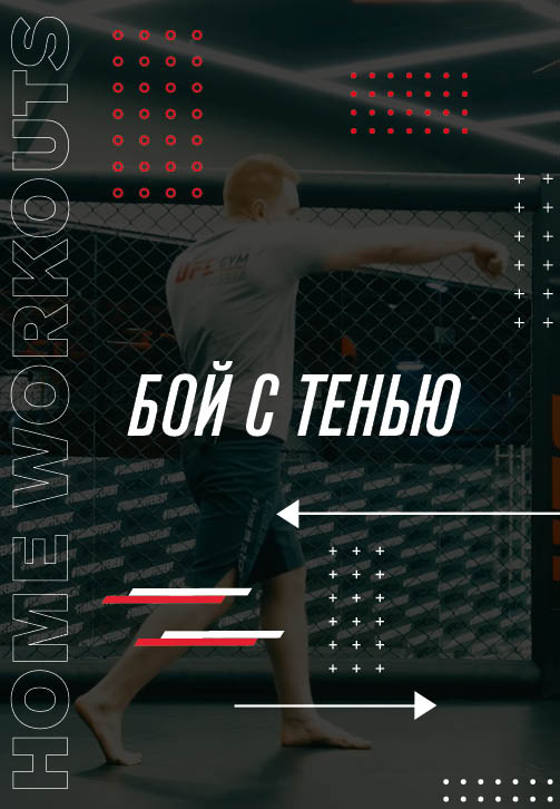 Постер к фильму Бой с тенью (2020) 2020