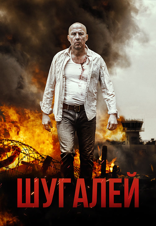 Постер к фильму Шугалей 2020