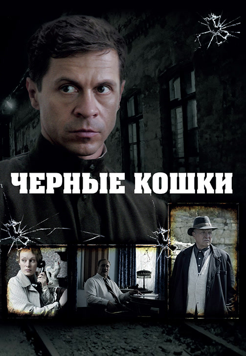 Постер к сериалу Чёрные кошки 2013