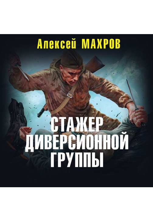 Постер к фильму Стажер диверсионной группы. Алексей Махров 2020