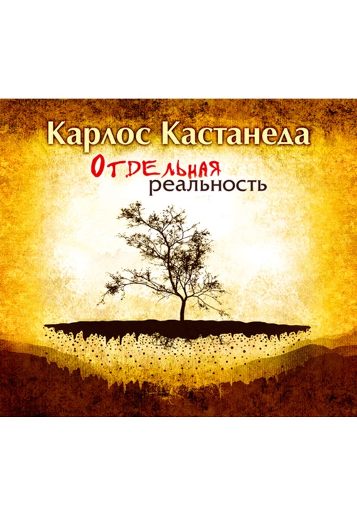 Постер к фильму Отдельная реальность. Карлос Кастанеда 2020