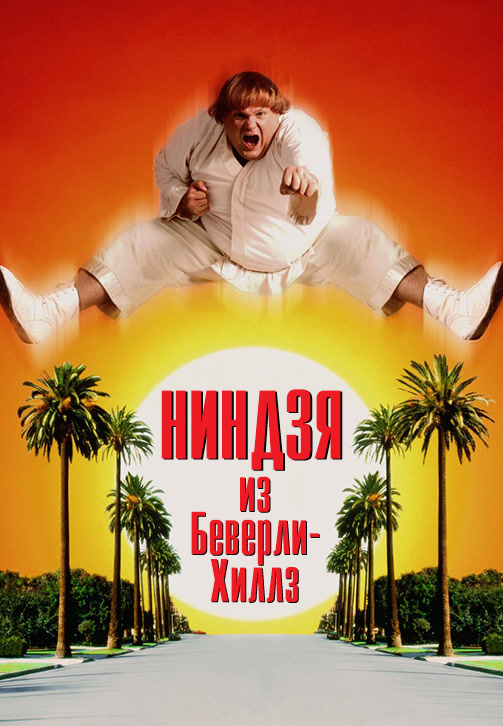 Постер к фильму Ниндзя из Беверли Хиллз 1997