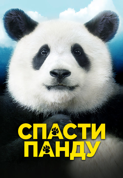 Постер к фильму Спасти Панду 2020