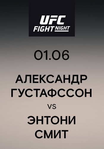 Постер к сериалу Александр Густафссон vs Энтони Смит 2019
